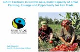Aziz Rasulov Fairtrade Internationalageconsearch.umn.edu/bitstream/249955/2/B1_Rasulov_Aziz.pdf · Fairtrade International It is a multi-stakeholder body comprising of representatives