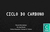 CICLO DO CARBONO - fap.if.usp.br · Ciclo do Carbono Terrestre Fotossintese C02 02 luz C6H1206 (Aicose) H20 hesplraçäo carbono para construçäo e @anutençào do Elem ento Homem