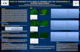 Effect of Probenecid in the Levels of Kynurenic Acid and ... · EFFECT OF PROBENECID IN THE LEVELS OF KYNURENIC ACID AND CATECHOLAMINES IN DIFFERENT BRAIN REGIONS Reyes-Ocampo J.G.1,