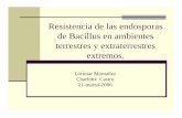 Resistencia de las endosporas de Bacillus en ambientes ... de las Endosporas.pdf · terrestres y ambientes extremos extraterrestres atraves de transferencia interplanetaria por el