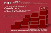 The Building Blocks of Agility as a - USP · Project Management Agility Global Survey ©2014 Massachusetts Institute of Technology | Consortium for Engineering Program Excellence