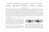 Estimating landmarks on 2D images of beetle mandibles - …wscg.zcu.cz/wscg2016/poster/E73-full.pdf · Estimating landmarks on 2D images of beetle mandibles Lê Vãnh L. ITDLU Dalat