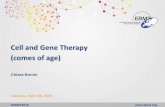Cell and Gene Therapy (comes of age) - ebmt.org · (Dazzi, Bernardo) Major Achievements 2015 CTIWP Studies and Surveys (2/2) 35 35 2015 EBMT SURVEY: FOCUS ON CELLULAR THERAPY ...
