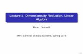 Lecture 5. Dimensionality Reduction. Linear Algebragavalda/DataStreamSeminar/files/Lecture5.pdf · Lecture 5. Dimensionality Reduction. Linear Algebra Ricard Gavalda` MIRI Seminar