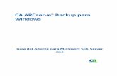 CA ARCserve® Backup para Windows ARCserve Backup r16 5-ESP... · Esta documentación, que incluye sistemas incrustados de ayuda y materiales distribuidos por medios electrónicos