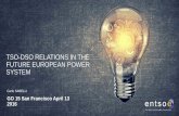 TSO-DSO RELATIONS IN THE FUTURE EUROPEAN POWER SYSTEM … · 42 TSOs in ENTSO-E the European Network for Transmission System Operators for Electricity 42 TSOs from 35 countries 600