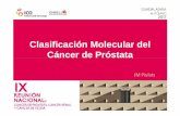 Clasificación Molecular del Cáncer de Próstata · • Cervical cancer proliferation. • Dividing cells. • CHECK2 network of transcripts. • KRAS signaling. • Down-regulated