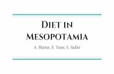 Mesopotamia Diet in - giftednassau.com · What made it possible to have so many different crops? Ancient Mesopotamia, (modern day Iraq) was similar to a desert. However, it was still