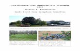  · Web viewVaccinium bracteatum var. chinense (Lodd. et al.) Chun ex Sleumer. ... Development of resistance to spotted wing drosophila . Broader soil adaptation (V. arboreum, V