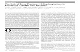 ORIGINAL ARTICLE The Role of Liver Fructose-1,6 ...diabetes.diabetesjournals.org/content/diabetes/61/5/1122.full.pdf · The Role of Liver Fructose-1,6-Bisphosphatase in Regulating