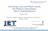 Jet Energy Loss and Mach Cones, Jet-Medium Interactions ... · Jet-Medium Interactions, Jets in Hydrodynamics Barbara Betz ... • Generation of Mach cone pattern ... Mach cone for