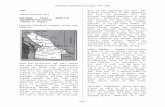 1975 - oregonbirding.org file · Web viewNorthwest Field Notes, Annotated / 1971-1980. Page . 1975. Autumn
