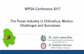 The Pecan Industry in Chihuahua Mexico: Challenges and ...aces.nmsu.edu/ces/pecans/documents/9 Lopez Diaz.pdf · The Pecan Industry in Chihuahua, Mexico: Challenges and Successes…And