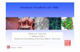 Animal models of IBD - Dr. Falk Pharma · Moskau 6/2006 Animal models of IBD Markus F. Neurath I. Medical Clinic Johannes Gutenberg-University Mainz, Germany