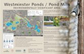 Westminster Ponds / Pond Mills · AA, 519119-6661661-449899880 Upppepper rr ThTThhamaameseess Rivvereerr Consesseervvataioon nAuutththoroorritty