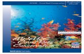 Coral Reef Conservation - elearning.padi.com · The AWARE – Coral Reef Conservation Specialty Course allows PADI Instruc- tors and Assistant Instructors to inform divers and nondivers