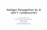Antigen Recognition by B and T Lymphocytes - fac.ksu.edu.safac.ksu.edu.sa/sites/default/files/7_antigen_recognition_by_b_and... · LearningObjec-ves By the end of this lecture you