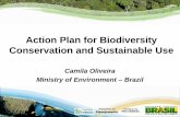 Action Plan for Biodiversity Conservation and Sustainable Use · Action Plan: • Partnership with the Ministry of Planning • Logic Model adapted to Plan • Result Chain using