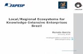 Local/Regional Ecosystems for Knowledge-Intensive ... · Local/Regional Ecosystems for Knowledge-Intensive Enterprises Brazil Renato Garcia Unicamp, Brazil renatogarcia@eco.unicamp.br