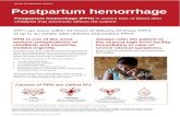 PPH is one of the most serious - novartisfoundation.org  · Web viewSwelling and pain in the vagina and nearby area if bleeding is from a hematoma. PPH treatment can be more effective