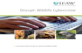 Disrupt: Wildlife Cybercrime - ifaw.org - Disrupt Wildlife... · Disrupt: Wildlife Cybercrime | IFAW 03 Contents 4 Letter from the CEO 6 Foreword 8 Executive summary 12 Key results