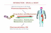 INTERACTION DRUG BODY - uniba.it · CELL SURFACE (MEMBRANE) RECEPTORS Cell-surface (or transmembrane) receptors are membrane-anchored, or integral proteins that bind to external ligand