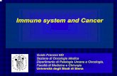 Immune system and Cancer - Università di Cagliaripacs.unica.it/pacs/oncologiamedica1/1-101.pdf · Il rigetto tumorale è dipendente dai linfociti CD8+ ... cell receptor e dei contro-recettori