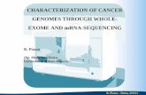 CHARACTERIZATION OF CANCER GENOMES THROUGH … · characterization of cancer genomes through whole-exome and mrna-sequencing r. piazza ... - linux (ubuntu, red hat…) - mac risorse