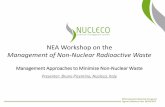 NEA Workshop on the Management of Non-Nuclear Radioactive ... · Management of Non-Nuclear Radioactive Waste ... UNI EN 12390-3:2003 TERMAL CYCLING – UNI EN 11193:2006 LEACHING