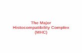 The Major Histocompatibility Complex (MHC) · A B C Paternal A, B, C Maternal A, B, C MHC class I Co-dominance both paternal and maternal MHC alleles are expressed A B C A A B B C