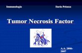 Tumor Necrosis Factor - biotec.campusnet.unito.it · Immunologia Ilaria Pelassa A.A. 2006-2007. TNF Receptor Family Dempsey P.W. et al. , The signaling adaptors and pathways activated