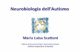 Neurobiologia dell ’Autismo - old.iss.itold.iss.it/binary/auti/cont/Dr.ssa_Maria_Luisa_Scattoni_Istituto... · Neurobiologia dell ’Autismo Maria Luisa Scattoni Reparto di Neurotossicologia