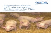 A Practical Guide to Environmental Enrichment for Pigs · A Practical Guide to Environmental . Enrichment for Pigs. A handbook for pig farmers