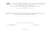 Università degli Studi di Ferrara - EprintsUnifeeprints.unife.it/150/1/tesi_Paola_Aguiari.pdf · PPARγ is the master regulator of adipogenesis; without it, precursor cells are incapable