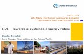 SIDS Towards a Sustainable Energy Future - World Bank Towards Sustainable... · SIDS – Towards a Sustainable Energy Future Charles Feinstein Sector Manager, Water and Energy, East