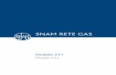 SNAM RETE GAS · CAPITOLO 1 CODICE ETICO SNAM 9 CAPITOLO 2 METODOLOGIA DI ANALISI DEI RISCHI 43 2.1. Analisi dei rischi e sistema ... • any changes in Snam Rete Gas’s corporate