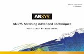 Advanced Techniques in ANSYS Meshing - padtinc.com · Advanced Techniques in ANSYS Meshing ...