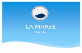 LA MAREE - bordbia.ie fileLA MAREE LTD Established by Mehdi Douss, Tunisian with Russian education Started in 1989 with 20 kg of fresh Saint Pierre. Now : shipments 7 days a week from