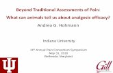 Beyond Traditional Assessments of Pain: What can animals ... · Beyond Traditional Assessments of Pain: What can animals tell us about analgesic efficacy? Andrea G. Hohmann ... Ancient