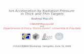 Ion Acceleration by Radiation Pressure in Thick and Thin ... · Andrea Macchi CNR/INFM/polyLAB and Dipartimento di Fisica “Enrico Fermi”, Università di Pisa,Italy Ion Acceleration