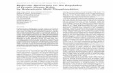 Molecular Cell, Vol. 9, 1227–1240, June, 2002, Copyright ...ftp.columbia.edu/itc/gsas/g9600/2004/FrankeReadings/PIIS... · Molecular Mechanism for the Regulation of Protein Kinase