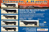 24th Annual Bull Sale - trianglejranch.comtrianglejranch.com/pdf/2013/2014_bull_sale_ad.pdf · 24th Annual Bull Sale Last Sunday in January † 1:00 p.m. (CST) Nebraska’s Largest