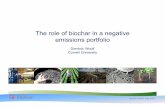 The role of biochar in a negative emissions portfolio · DominicWoolf,June2012 The role of biochar in a negative emissions portfolio Dominic Woolf Cornell University