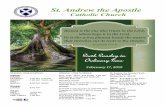 St. Andrew the Apostle · St. Andrew the Apostle Catholic Church WEEKEND MASS SCHEDULE: ENGLISH CHURCH ... Barb Sanders to arrange for Communion to be brought to the sick at home,