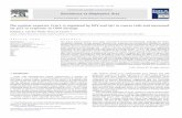 Biochimica et Biophysica Acta - | CANSA · Biochimica et Biophysica Acta 1809 (2011) 316–326 ⁎ Correspondingauthorat:DivisionofMedicalBiochemistry,FacultyofHealthSciences, ...