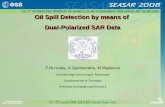 Oil Spill Detection by means of DualPolarized SAR Dataearth.esa.int/.../seasar2008/participants/214/pres_214_nunziata.pdf · ferdinando.nunziata@uniparthenope.it. Summary Introduction