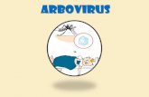 ARBOVIRUS - unife.it · mosche, zanzare e zecche. Gli arbovirus possono essere trasmessi VERTICALMENTE (nel vettore, da femmina ... Nel 1977 appare per la prima volta in Egitto e