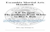 Lil’ Dragon The pathway from White to Black Beltescambiamartialarts.com/docs/Lil Dragon Cur.pdf · Lil’ Dragon The pathway from White to Black Belt "The ultimate goal of Kyuki-Do