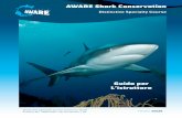 Guida per L’istruttore - Project AWARE Shark... · Grazie alla pesca ed all’attrazione sui turisti subacquei, costituiscono un’importante risorsa a sostegno delle economie locali.