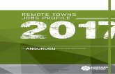 Angurugu remote towns jobs profile - nt.gov.au  · Web viewLibrary Assistant. Office Manager. Social Security Assessor. 4 Professionals in the following jobs: Registered Nurse nec.